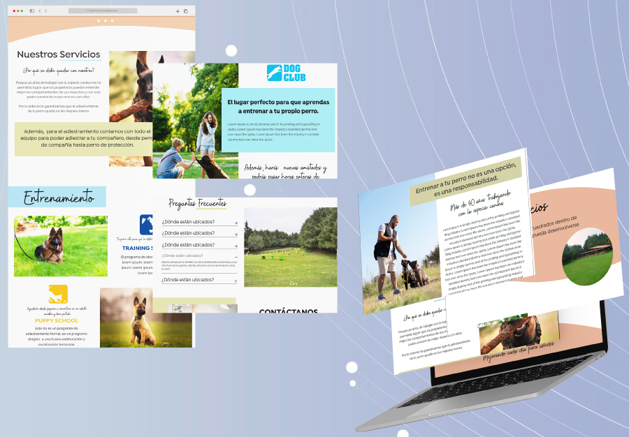 UCAPSA UX/UI project